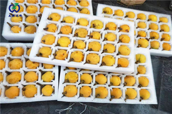 常見的水果內托定做材料是什么？